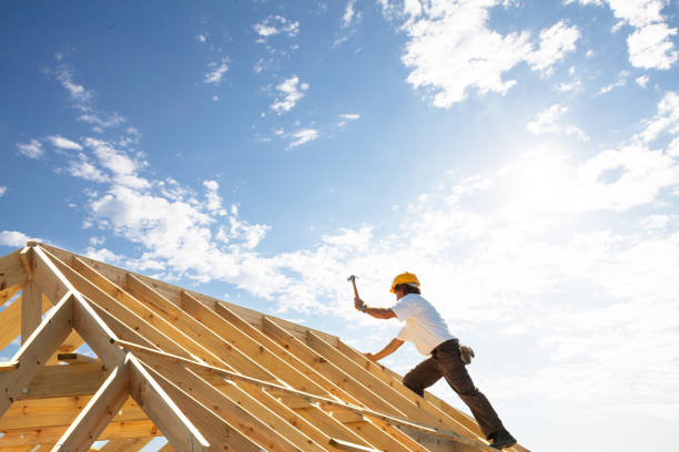 Best Skylight Installation and Repair  in Forest Acres, SC